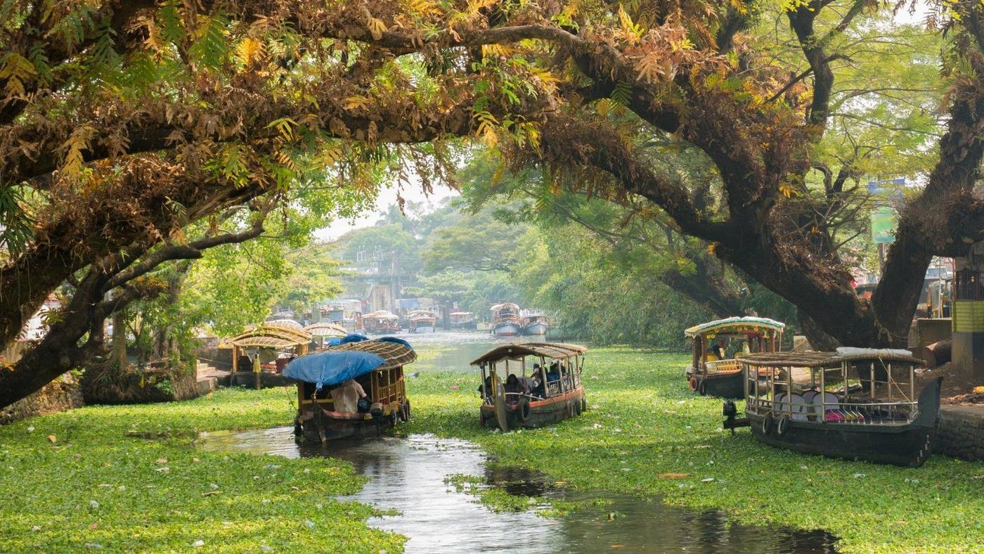 Houseboats moored along a canal in the Alleppey backwaters, Kerala
